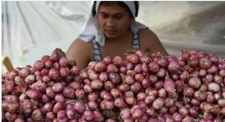 The people of the Philippines are shocked; onion1048 per kilo